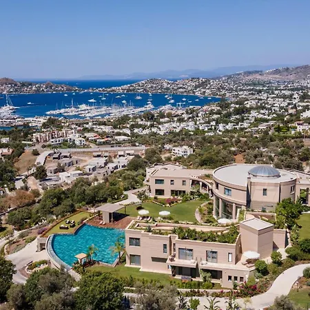 Ailla Яликовак