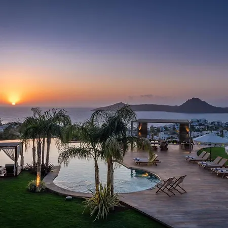 Ailla Яликовак