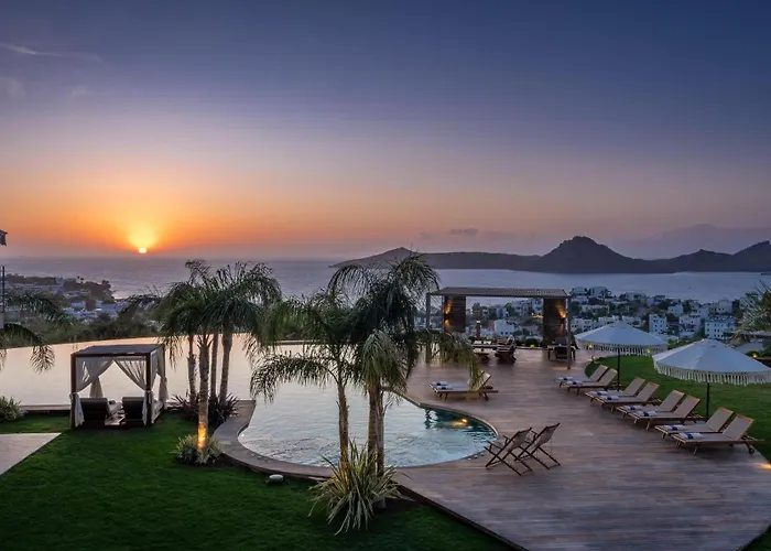 Ailla יאליקאבאק